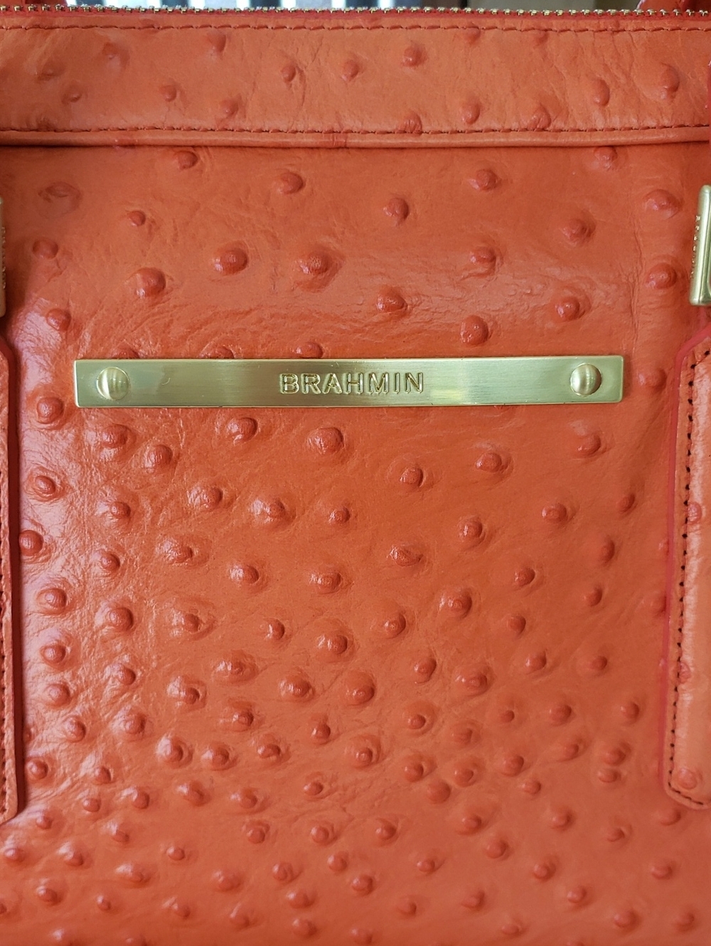 Brahmin Gemma Prawn Normandy - Picture 4 of 10